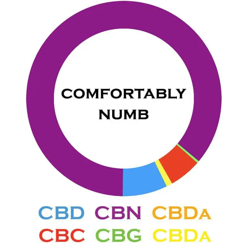 3chi comfortably numb oil breakdown.webp 3chi comfortably numb oil breakdown.webp