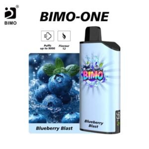 bimo one 9000 blueberry blast.jpg