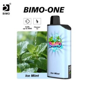bimo one 9000 ice mint.jpg