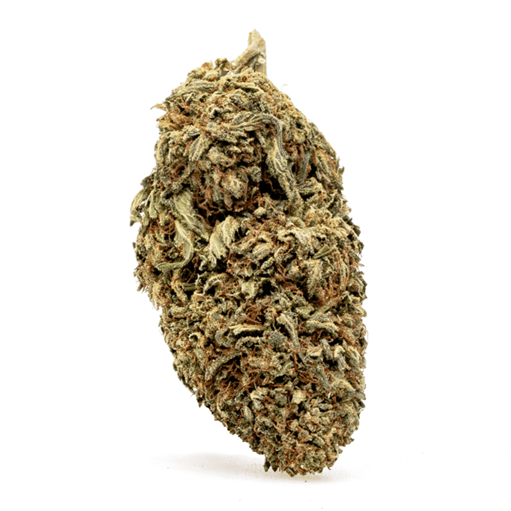 cbd flower lemon octane nug.png cbd flower lemon octane nug.png