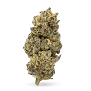 high thca flower black cherry soda bud.png