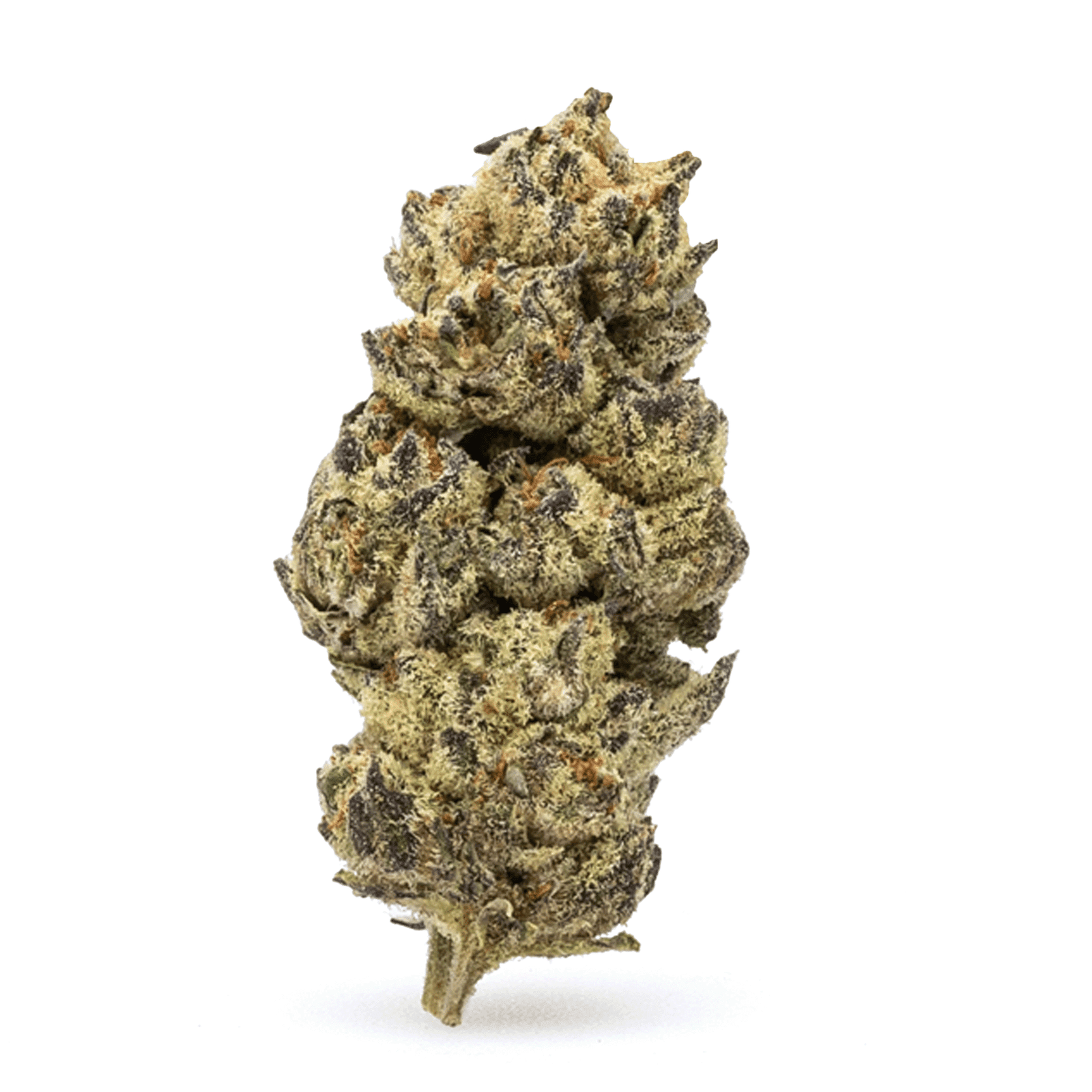 high thca flower black cherry soda bud.png high thca flower black cherry soda bud.png