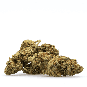 high thca flower gelonade pile 300x300 1.webp high thca flower gelonade pile 300x300 1.webp