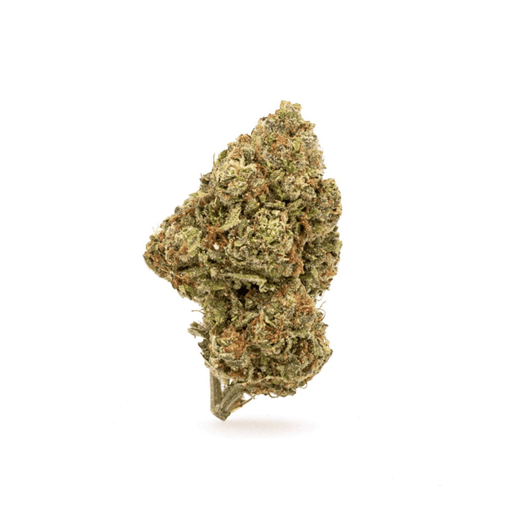 high thca gary payton flower bud.png high thca gary payton flower bud.png