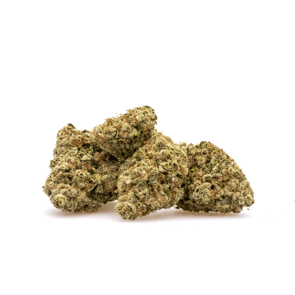 high thca gary payton flower pile 2.webp high thca gary payton flower pile 2.webp
