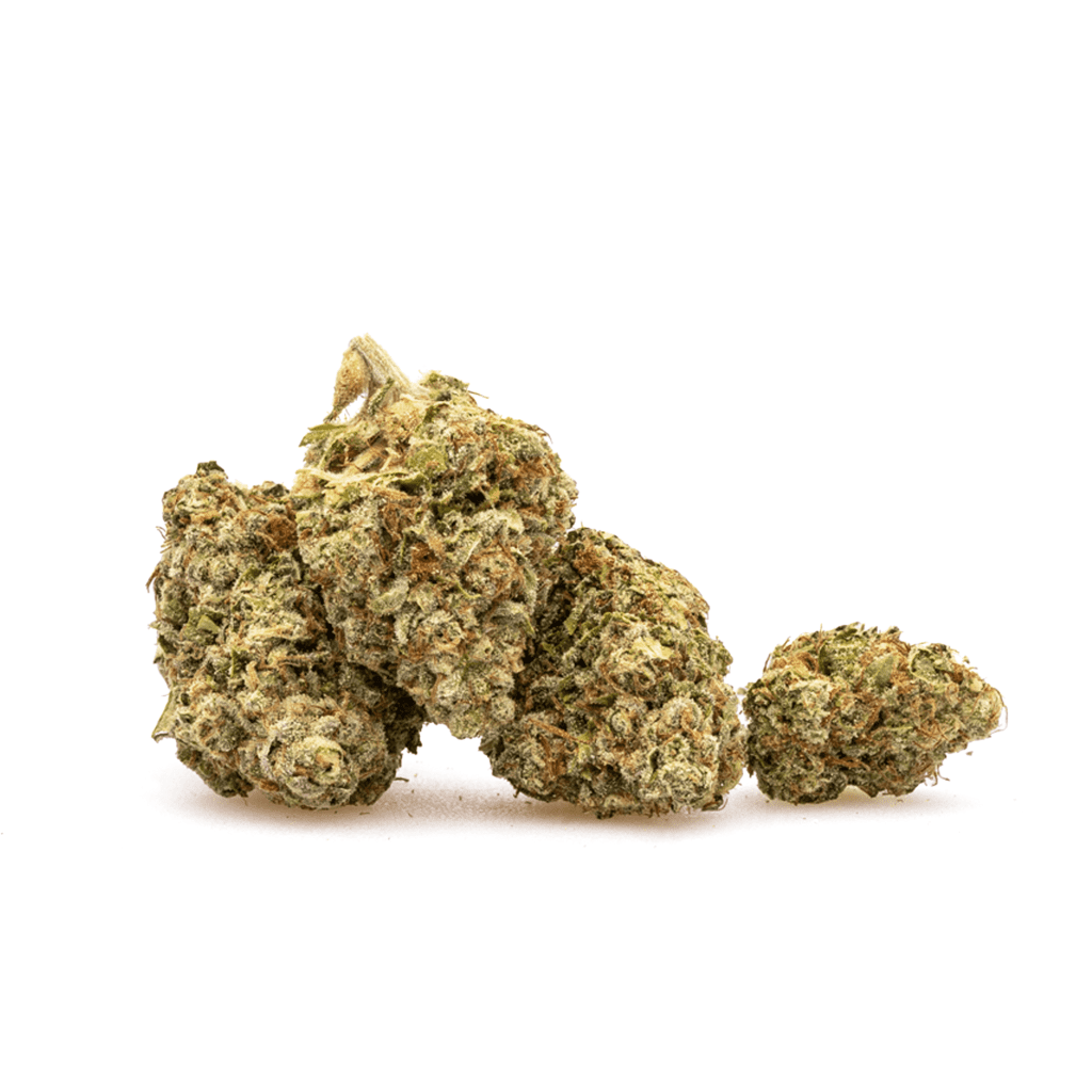 high thca gary payton flower pile.webp high thca gary payton flower pile.webp