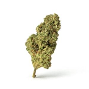 high thca han solo bud scaled 1.jpg