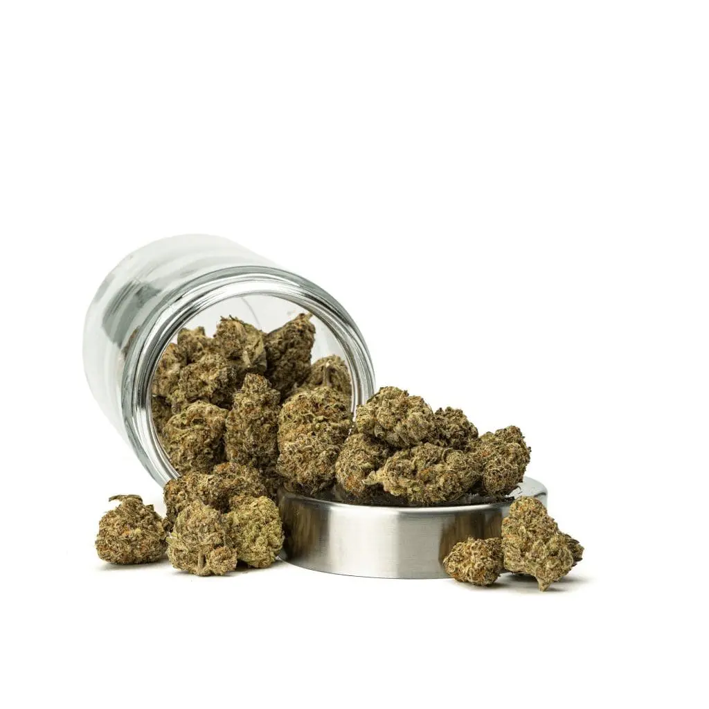high thca han solo ounce.webp high thca han solo ounce.webp
