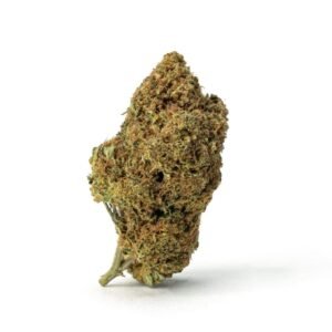 high thca sex panther bud 1 scaled 1.jpg