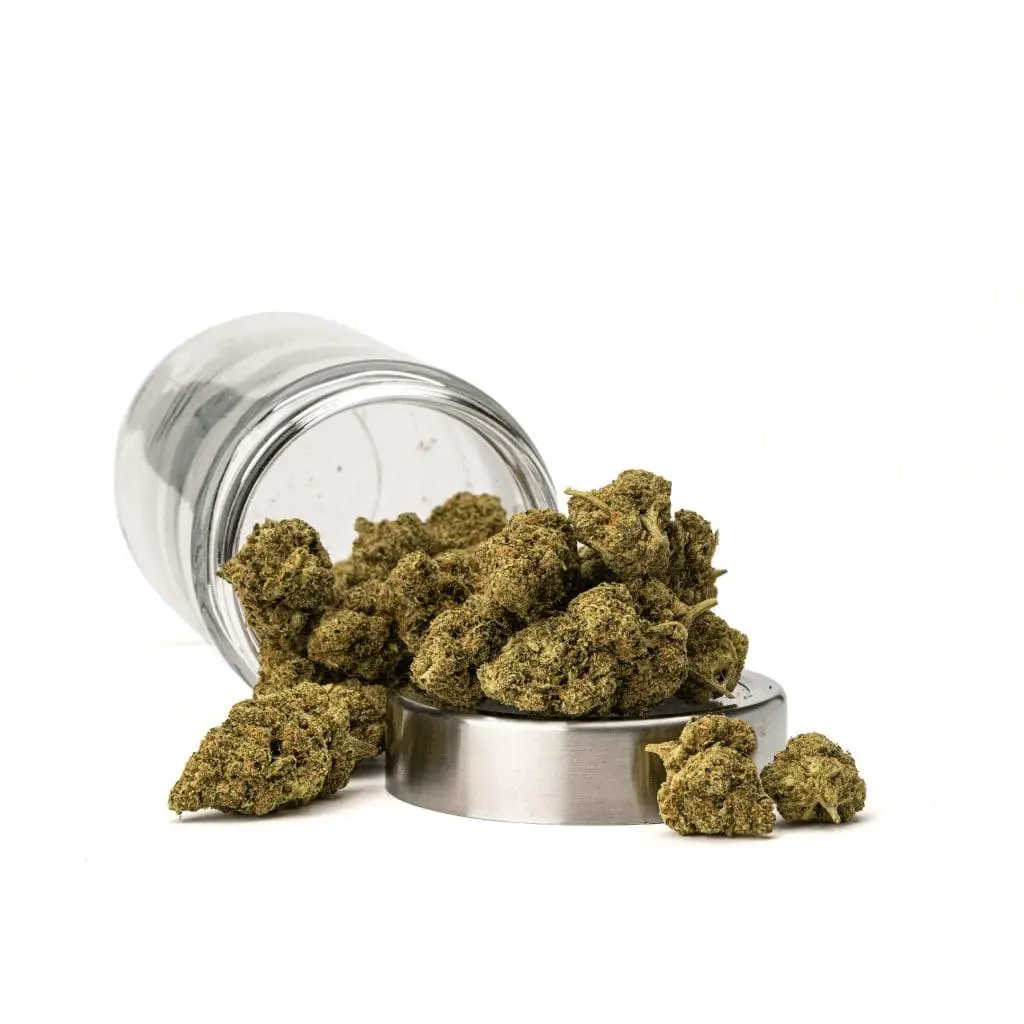 high thca sex panther ounce.webp high thca sex panther ounce.webp