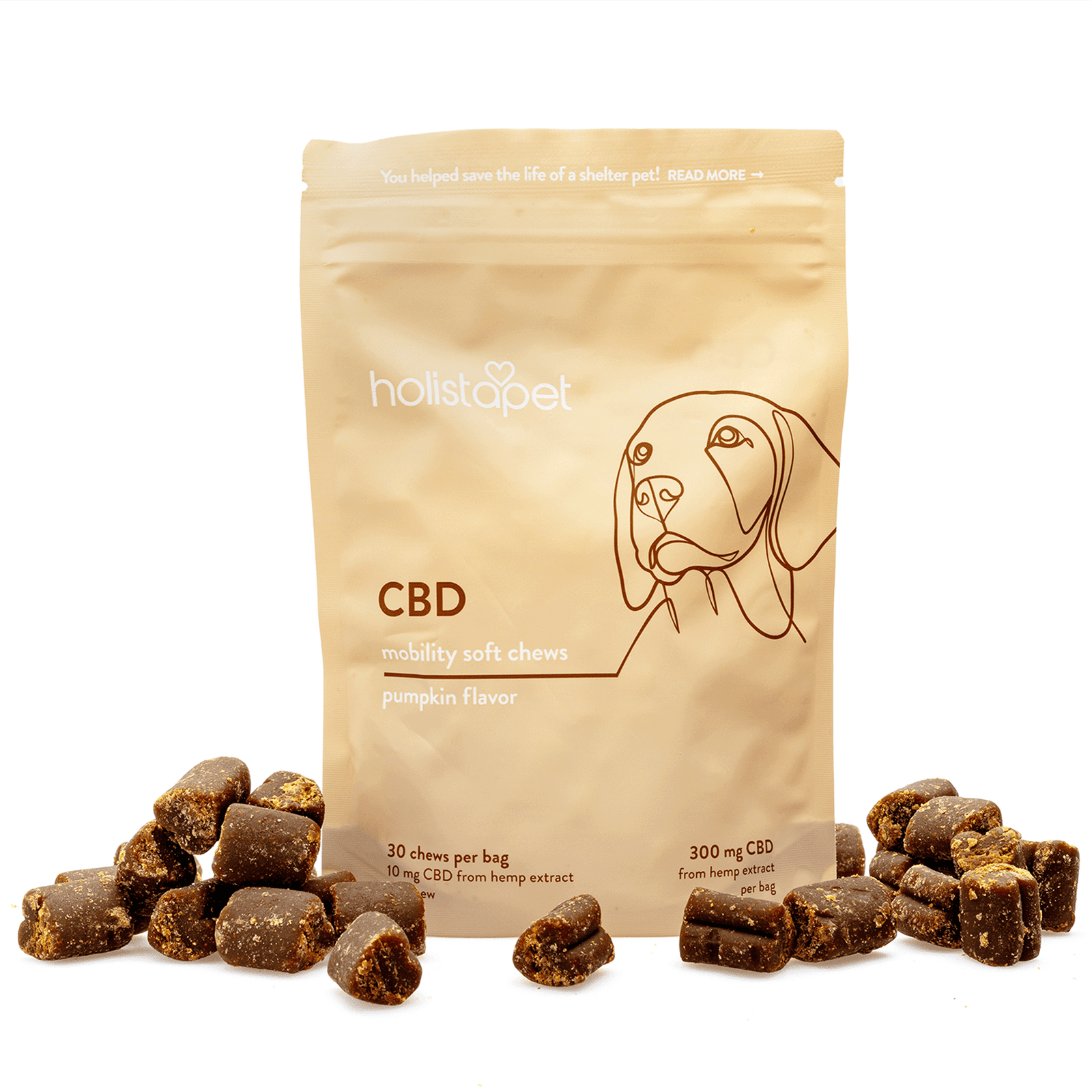 holistapet cbd mobility soft chews for dogs 300 mg total cbd combo 1.png holistapet cbd mobility soft chews for dogs 300 mg total cbd combo 1.png