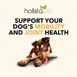 holistapet cbd mobility soft chews for dogs support 300x300 1.jpg holistapet cbd mobility soft chews for dogs support 300x300 1.jpg