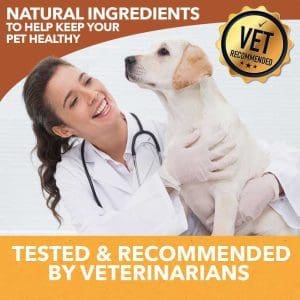 holistapet cbd mobility soft chews for dogs vet recommended 300x300 1.jpg holistapet cbd mobility soft chews for dogs vet recommended 300x300 1.jpg