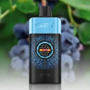 iget one blueberry ice.webp