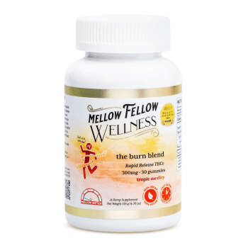 mellow fellow wellness gummies burn blend tropic medley 300 mg total cannabinoids bottle front 350x350 1.png mellow fellow wellness gummies burn blend tropic medley 300 mg total cannabinoids bottle front 350x350 1.png