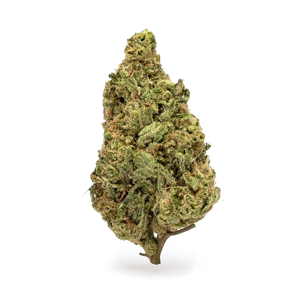 thca flower acapulco gold nug.jpg thca flower acapulco gold nug.jpg