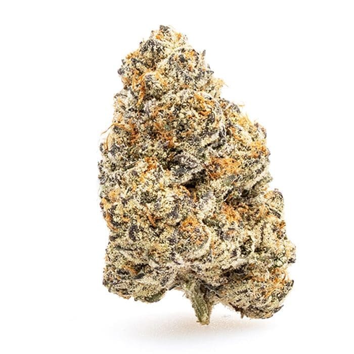 thca flower banana zkittlez nug 700x700 1.jpg thca flower banana zkittlez nug 700x700 1.jpg