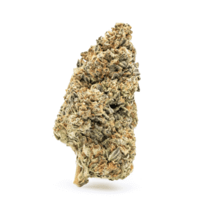 thca flower cereal milk nug.png