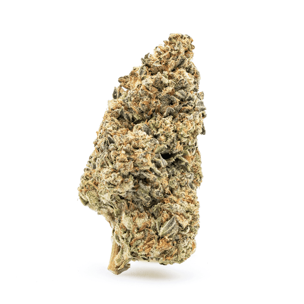 thca flower cereal milk nug.png thca flower cereal milk nug.png