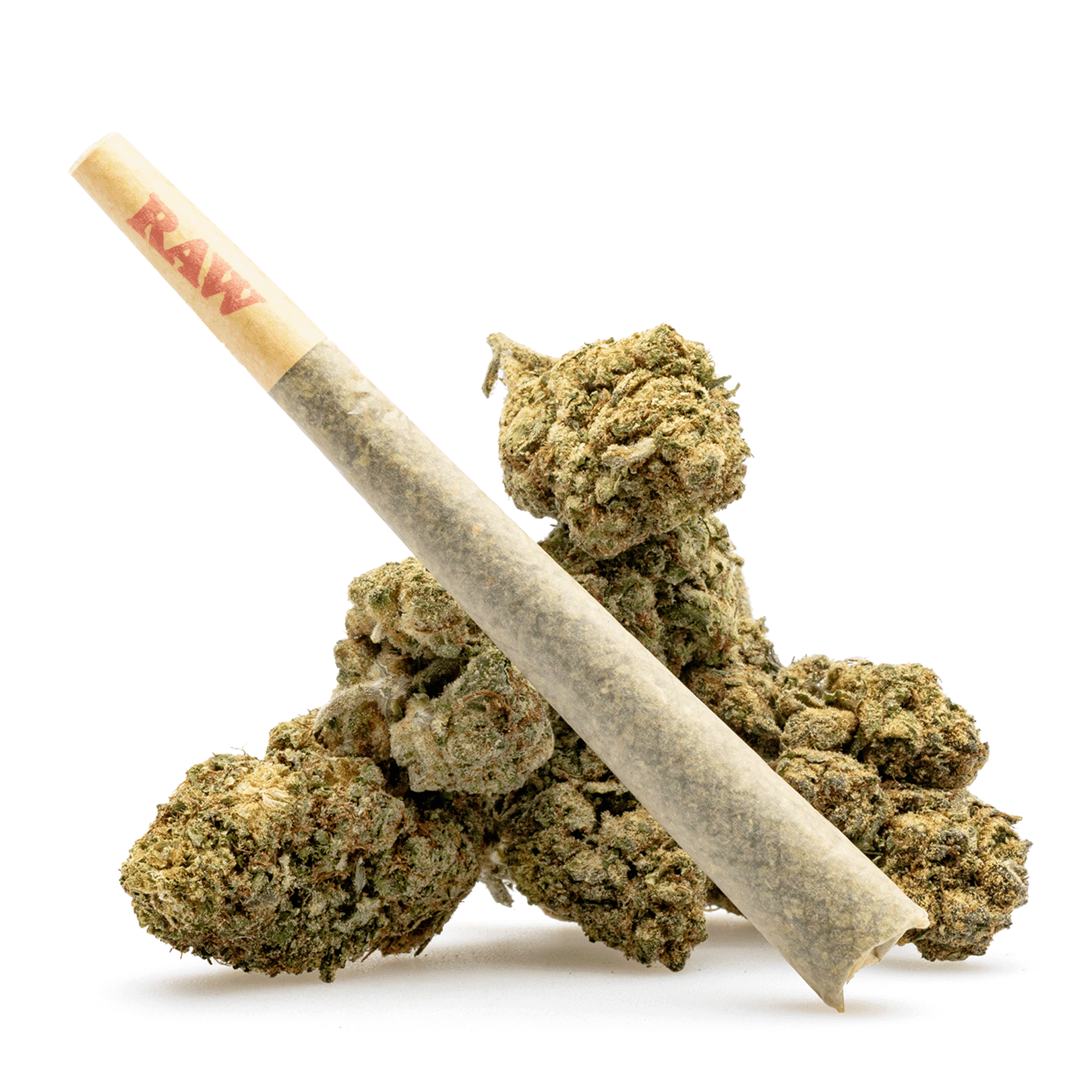 thca flower pre roll black cherry soda product with bud.webp thca flower pre roll black cherry soda product with bud.webp