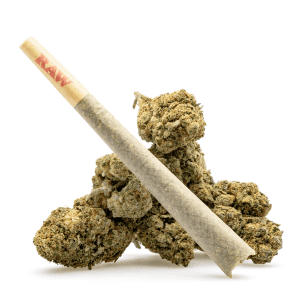 thca flower pre roll jokerz candy product with bud 2 300x300 1.webp thca flower pre roll jokerz candy product with bud 2 300x300 1.webp