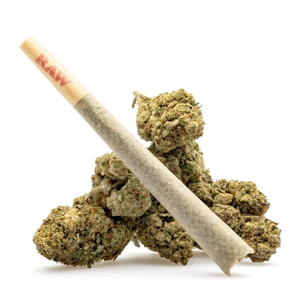 thca flower pre roll pineapple express preroll with buds.png.webp thca flower pre roll pineapple express preroll with buds.png.webp