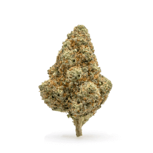 thca flower tangie bud.png