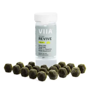 viia cbd and cbg revive relief gummies thc free combo.webp