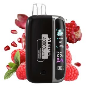 bimo felxy 40000 kit pomegranat raspberry.jpg