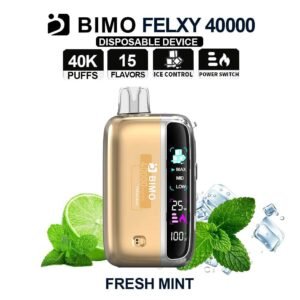bimo felxy 40000 kit fresh mint.jpg