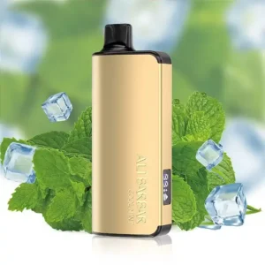 imgi 11 alibarbar ingot 9000 puffs cool mint.webp