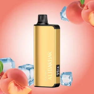imgi 18 alibarbar ingot 9000 puffs peach ice.webp