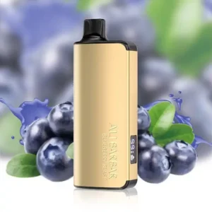 imgi 35 alibarbar ingot 9000 puffs blueberry blast.webp