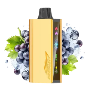 imgi 5 grape ice jnr cruiser.webp